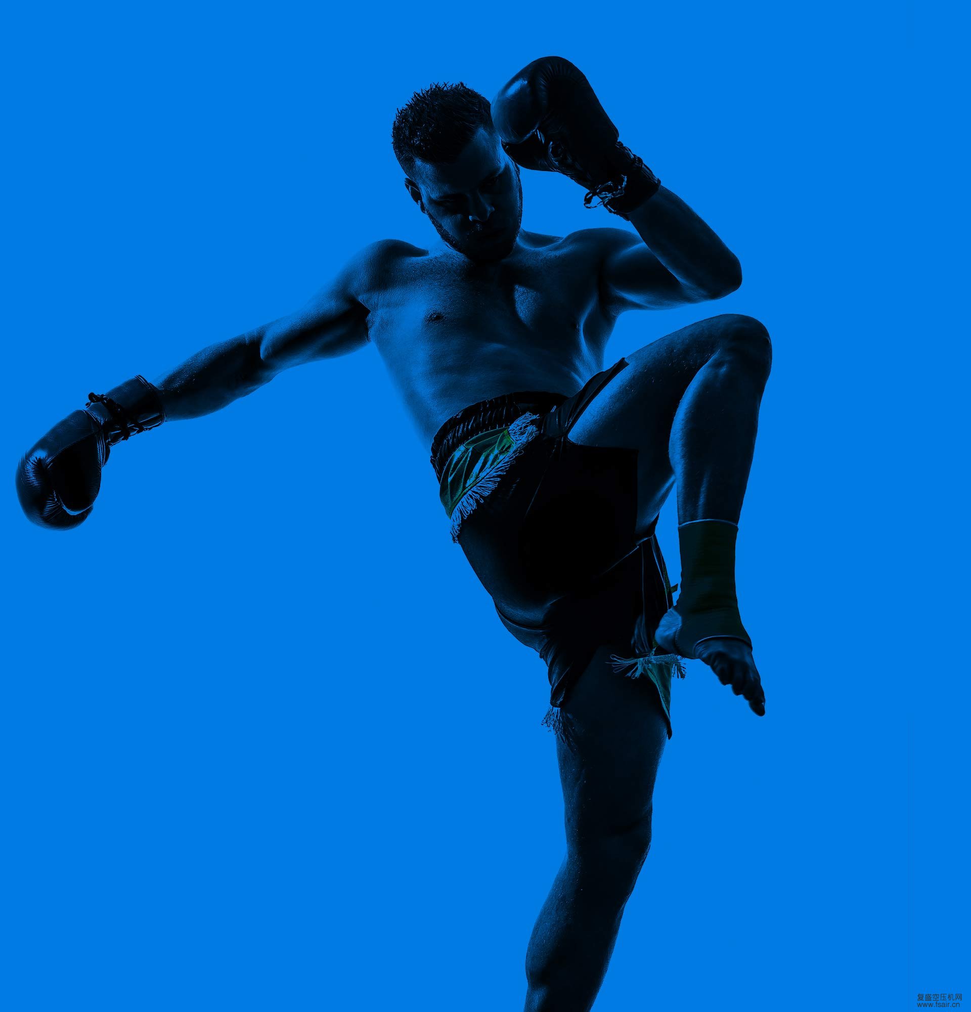 �����������۸�ʢ��ѹ��ʰ������