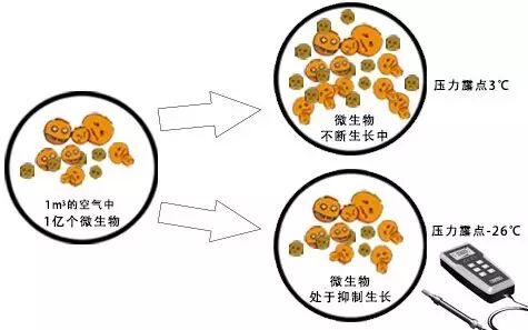 应用 | 食品及制药产业用压缩空气 配图6