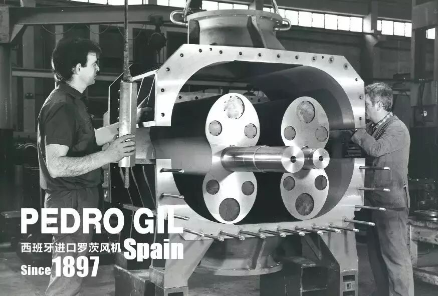 “风”生“水”起 西班牙PEDRO GIL坚守品质高地 配图4